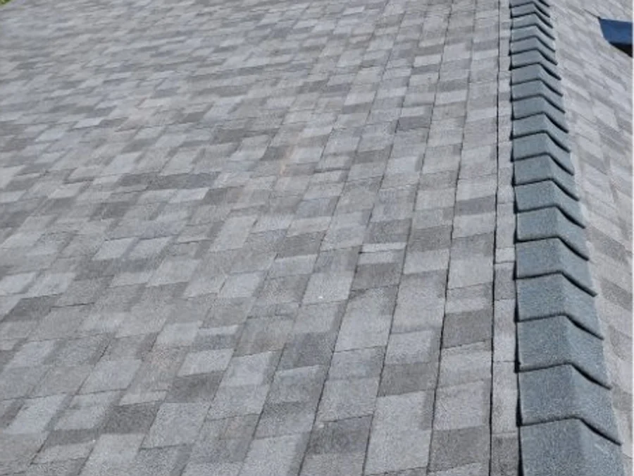Roof Replacement service from Expert House Painting
