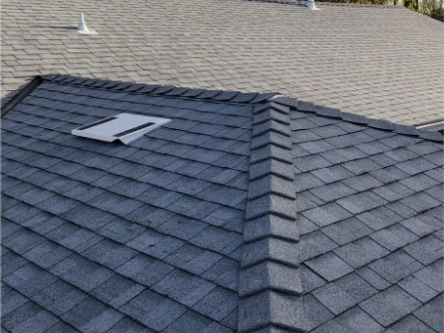 Roof Repair service from Expert House Painting